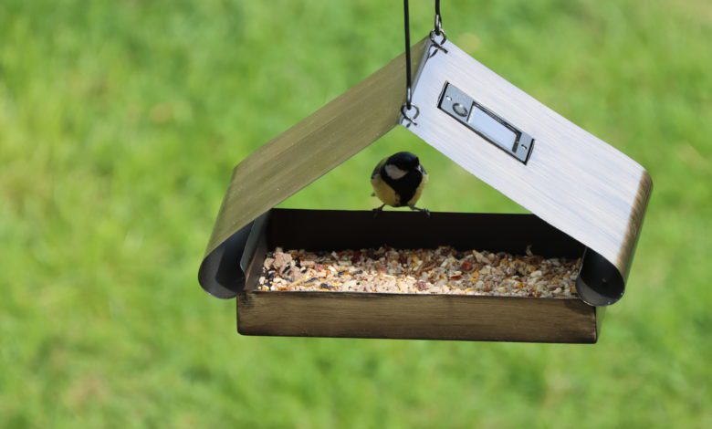 Henry Bell bolsters wild bird product offering Henry Bell bolsters wild bird product offering
