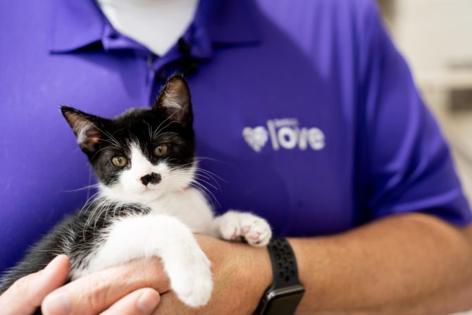 Petco Love Invests 15M in Grants to Pets Families Animal Petco Love Invests $15M in Grants to Pets, Families, Animal Welfare Partners