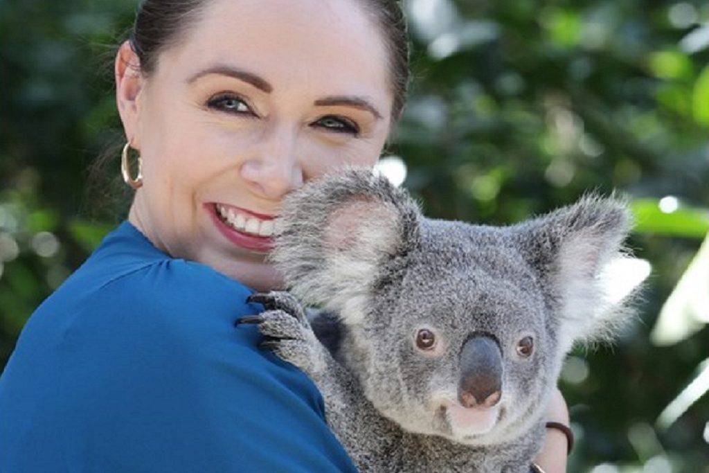 Wildlife funding Queensland’s wildlife hospital funding to double