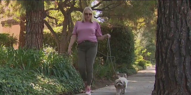 A woman was recently walking her dog in California when it allegedly ingested a dose of oxycodone and became blind.