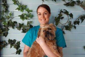 Healthy pets need thriving vets